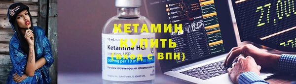 прущие грибы Верея