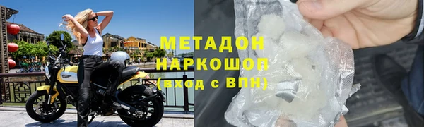 прущие грибы Верея