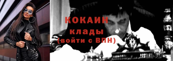ПСИЛОЦИБИНОВЫЕ ГРИБЫ Бородино