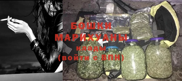 прущие грибы Верея