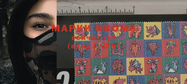 прущие грибы Верея