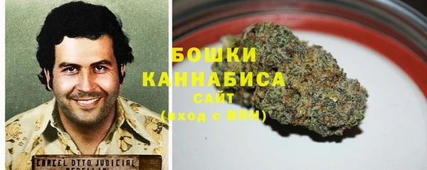 прущие грибы Верея