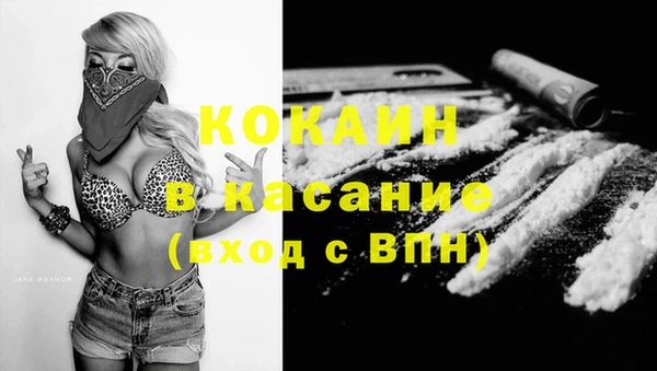 прущие грибы Верея