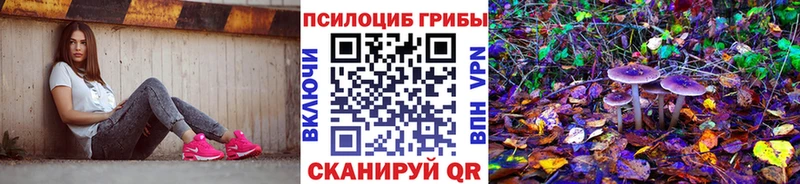 Галлюциногенные грибы ЛСД  купить  сайты  Ростов 